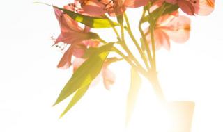 为什么酷我音乐盒里的歌曲全部不能听了 酷我音乐盒官方网站