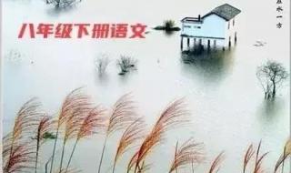 八年级下册语文期末 八年级下册语文期末