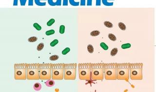一区sci影响因子一般是多少 2014年sci影响因子
