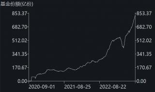 2023年新生儿788万 2023年新生儿788万