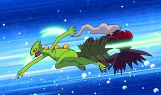 神奇宝贝之城都联盟