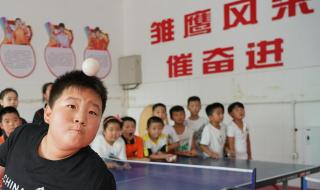 2020奥运会乒乓球金牌获得者 2020全运会女子乒乓球冠军